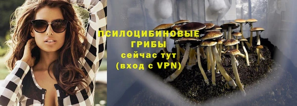 марки lsd Лагань